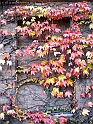 pix 305
